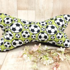 SanDaLu Leseknochen Fußball
