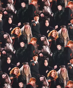 Harry Potter Jersey Stoff Überblick