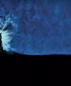 jersey stoff panel wolf vor dem vollmond gesamt