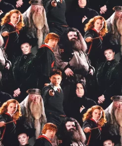 Jersey Stoff Harry Potter