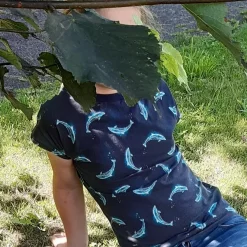 T-Shirt nähen lernen Troisdorf
