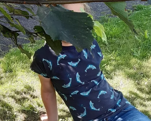 T-Shirt nähen lernen Troisdorf