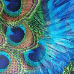 Stenzo Jersey Panel blaue Blume und Pfauenfedern Detail