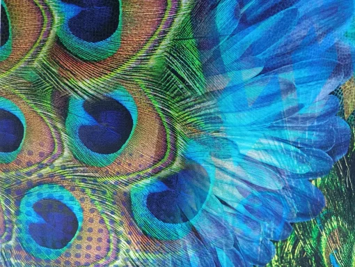 Stenzo Jersey Panel blaue Blume und Pfauenfedern Detail