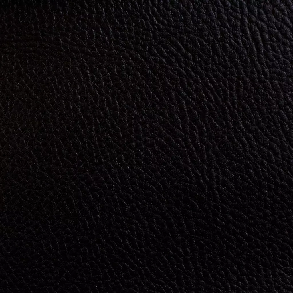 SanDaLu schwarzes Kunstleder Rex