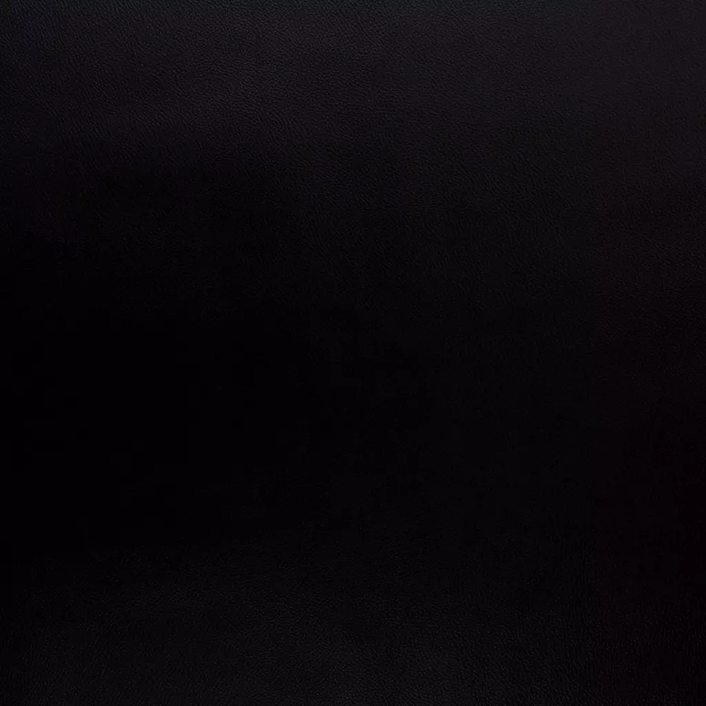 SanDaLu schwarzes Kunstleder Rex